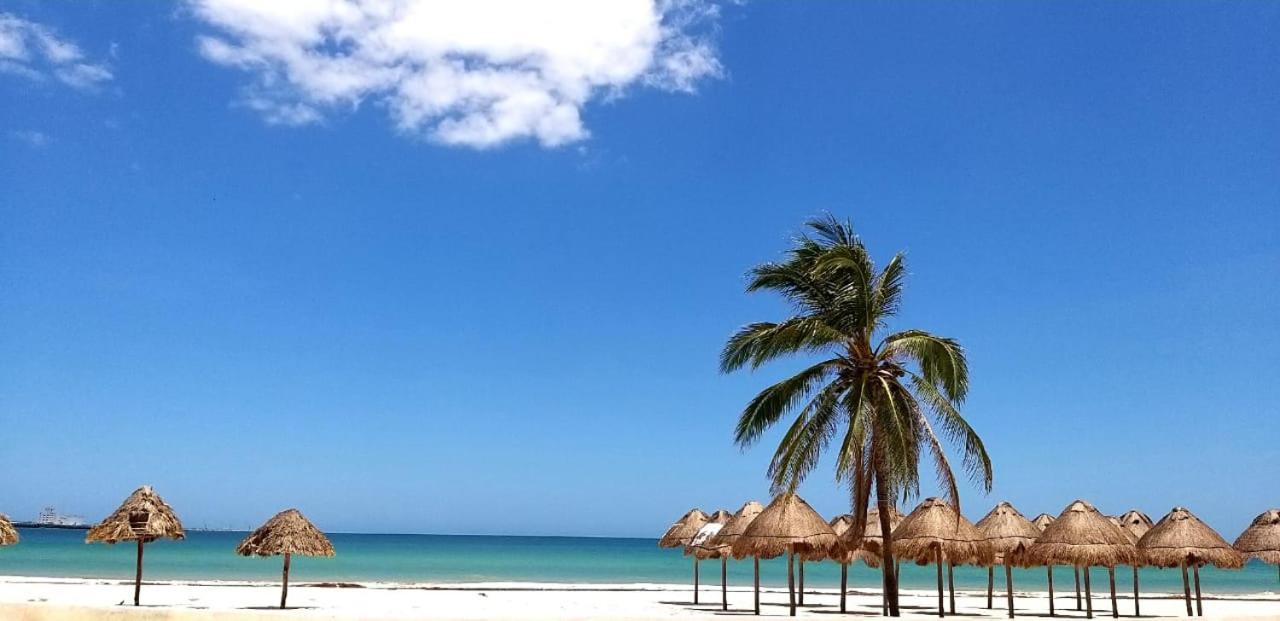 Hotel & Suites Domani Progreso  Exterior foto